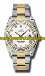 Rolex Watches : 116243WRO Automatic Dial Color