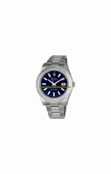 Rolex Watches : 116334BLSO Automatic Dial Color