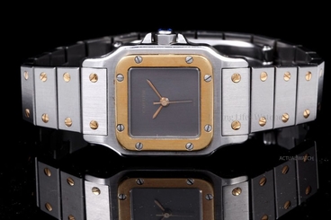 Cartier Stainless Steel & Yellow Gold Ladies Santos, Gray Dial, 24mm, Quartz
