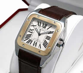 Cartier Santos 100 w20072x7 Stainless Steel & Yellow Gold Crocodile Ret: $9,650 7612456259654