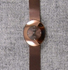 NEW Ladies RADO ESENZA Brown Dial St Steel Swiss Quartz Watch+Time Setter In Box