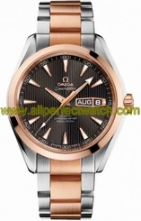 Omega Watches : 231.20.43.22.06.001 Autoamtic COSC Day - Date Aqua Terra Men Watch
