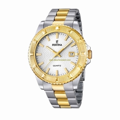 Festina Watches : F16683/1 Silver Dial Luminescent Hands Men Watch