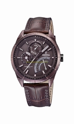 Festina Watches : F16988/1 Brown Dial Stainless Steel Plated Men Watch
