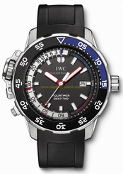 IWC Watches : IW354702 Automatic Stainless Steel Men Watch