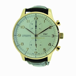 IWC Watches : IW371402 Automatic Dial Color