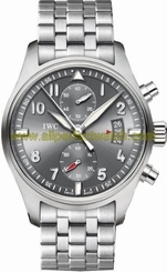 IWC Watches : IW387804 Automatic Grey Dial Brushed Stainless Steel Band Men Watch