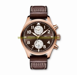 IWC Watches : IW387805 Automatic Brown Men Watch