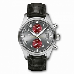 IWC Watches : IW387810 Grey Dial Alligator Leather Band Men Watch