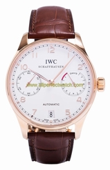 IWC Watches : IW5001-13 Silver Automatic Self Winding Men Watch