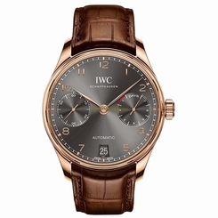 IWC Watches : IW500702 Slate Grey Dial Fixed Band Men Watch