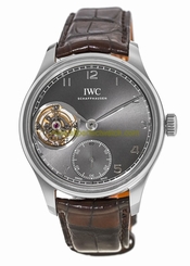 IWC Watches : IW546301 Grey Manual Winding Men Watch