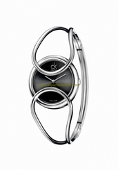 Calvin Klein Watches : K4C2S111 Quartz Analog Stainless Steel Small Size Women Watch