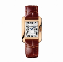 Cartier Watches : W5310027 Automatic Dial Color