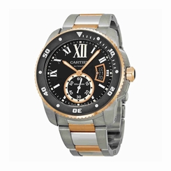 Cartier Watches : W7100054 Automatic Dial Color